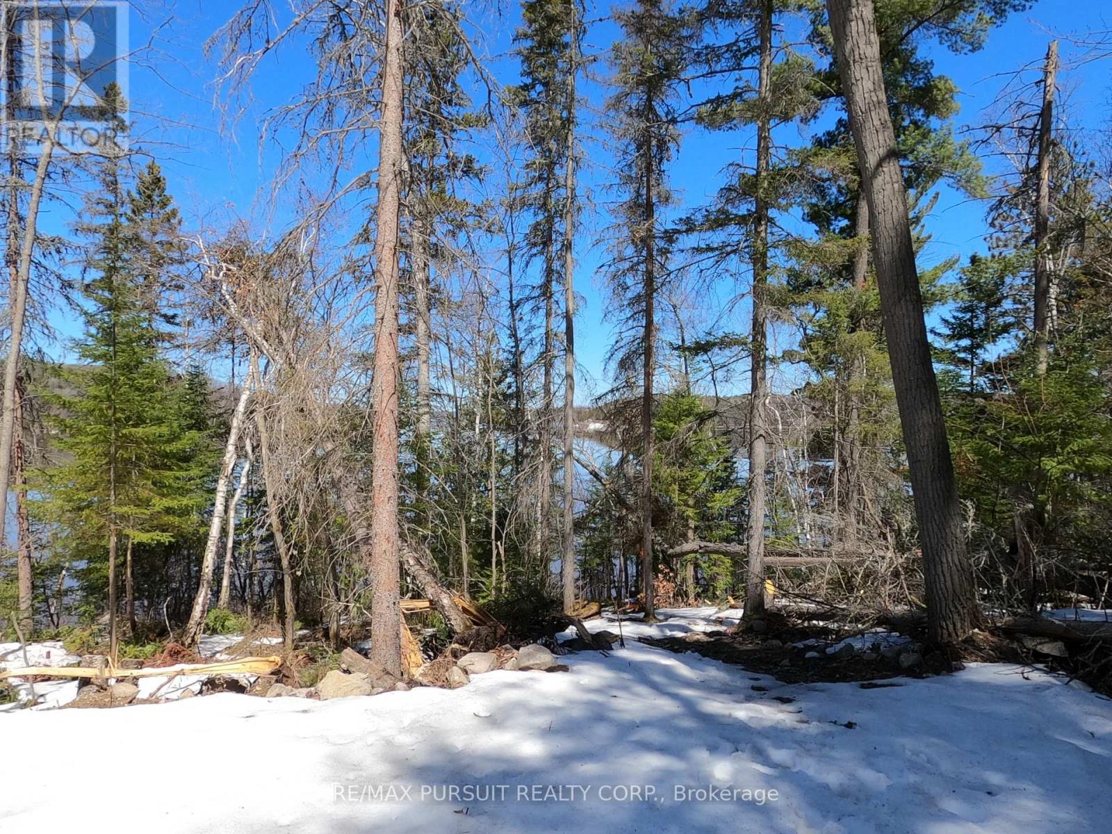 54-C-247082 Part Of Pin 61390-0273, Timiskaming, Ontario  P0J 1R0 - Photo 38 - T12936568
