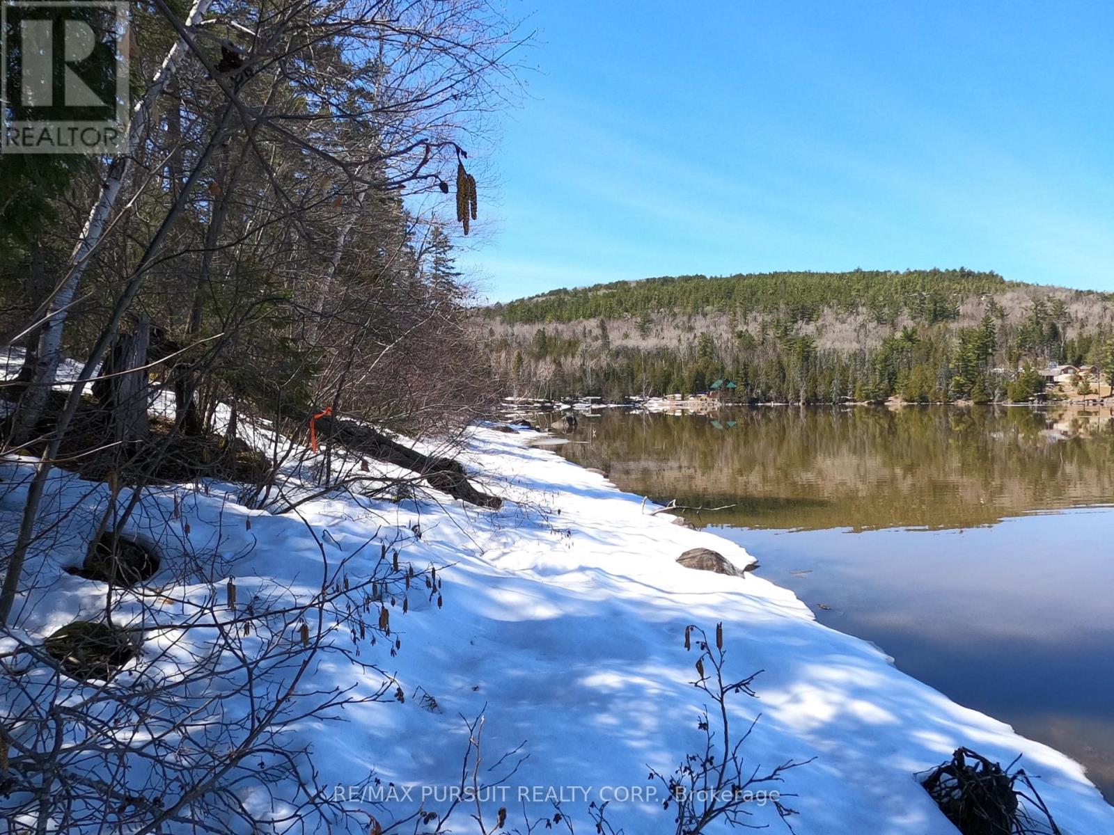 54-C-247082 Part Of Pin 61390-0273, Timiskaming, Ontario  P0J 1R0 - Photo 29 - T12936568
