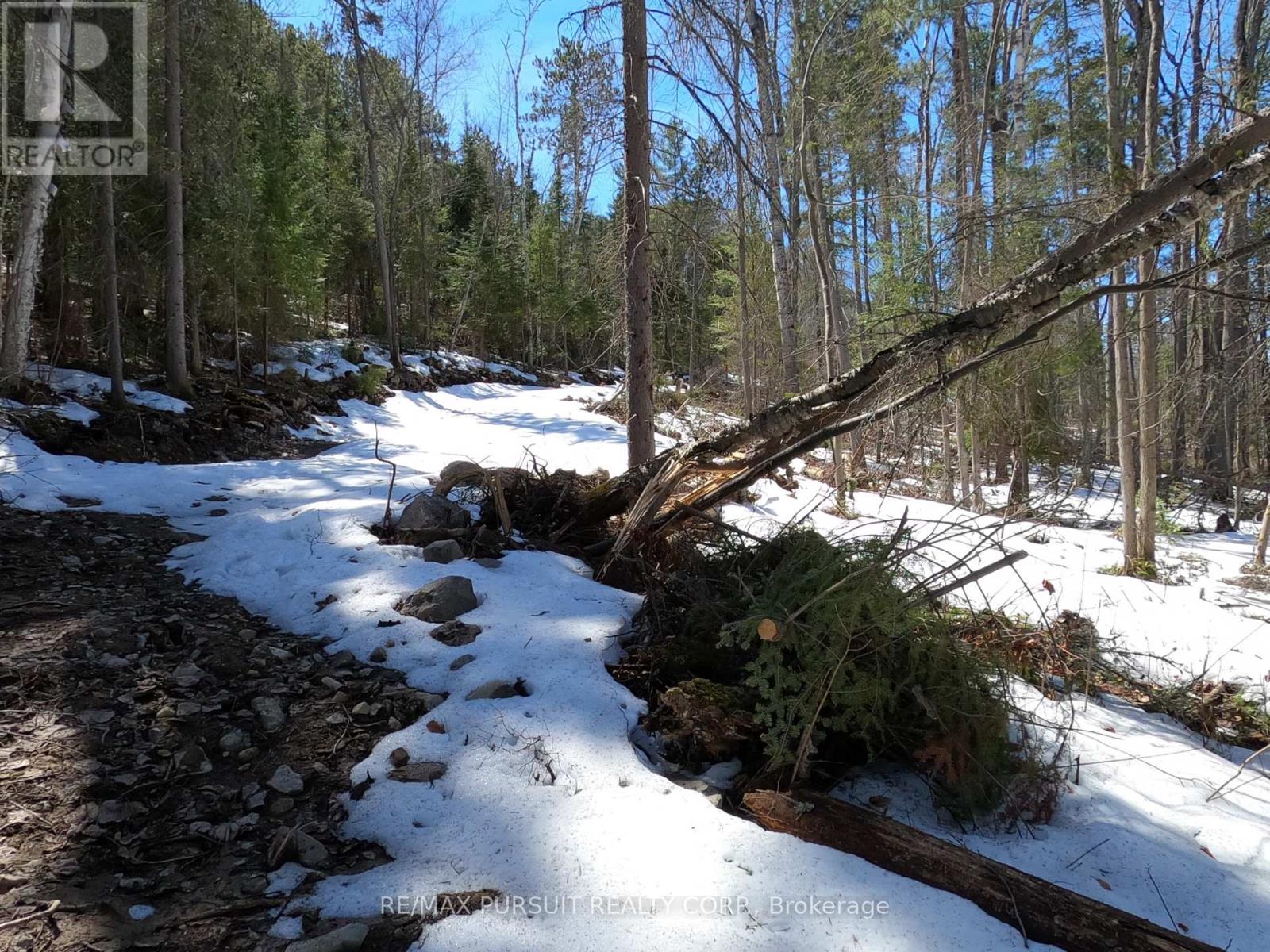 54-C-247082 Part Of Pin 61390-0273, Timiskaming, Ontario  P0J 1R0 - Photo 36 - T12936568