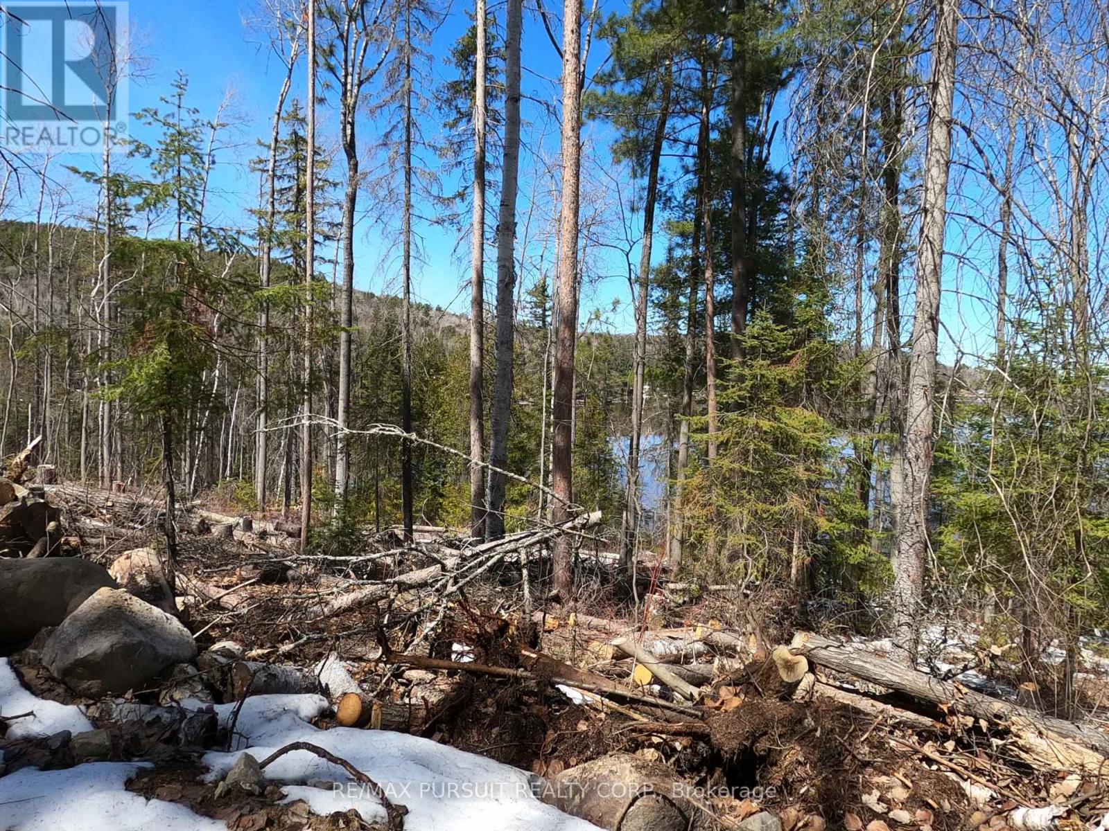 54-C-247082 Part Of Pin 61390-0273, Timiskaming, Ontario  P0J 1R0 - Photo 39 - T12936568