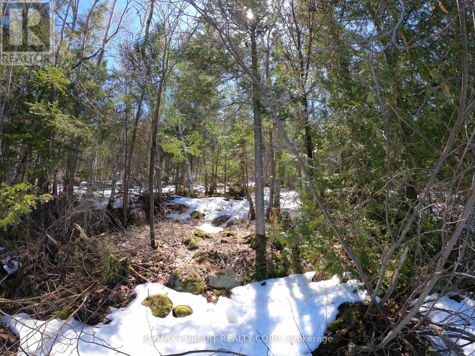 54-C-247082 Part Of Pin 61390-0273, Timiskaming, Ontario  P0J 1R0 - Photo 33 - T12936568
