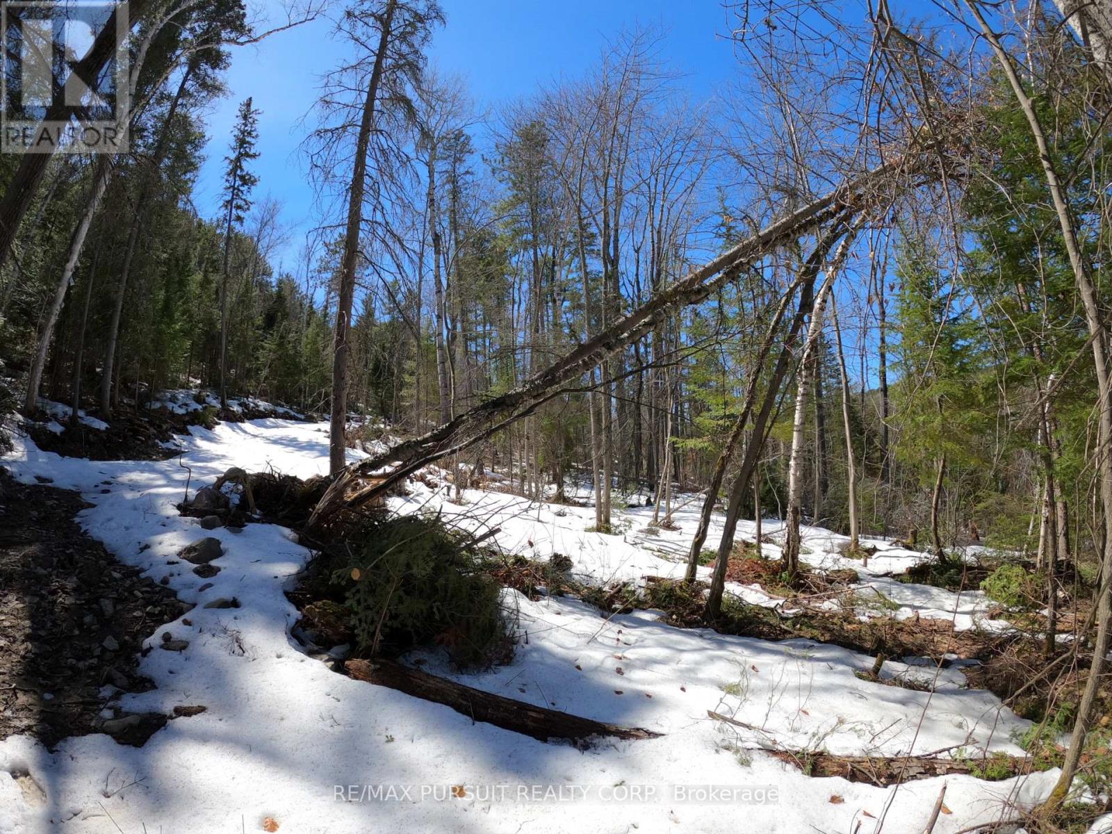 54-C-247082 Part Of Pin 61390-0273, Timiskaming, Ontario  P0J 1R0 - Photo 34 - T12936568