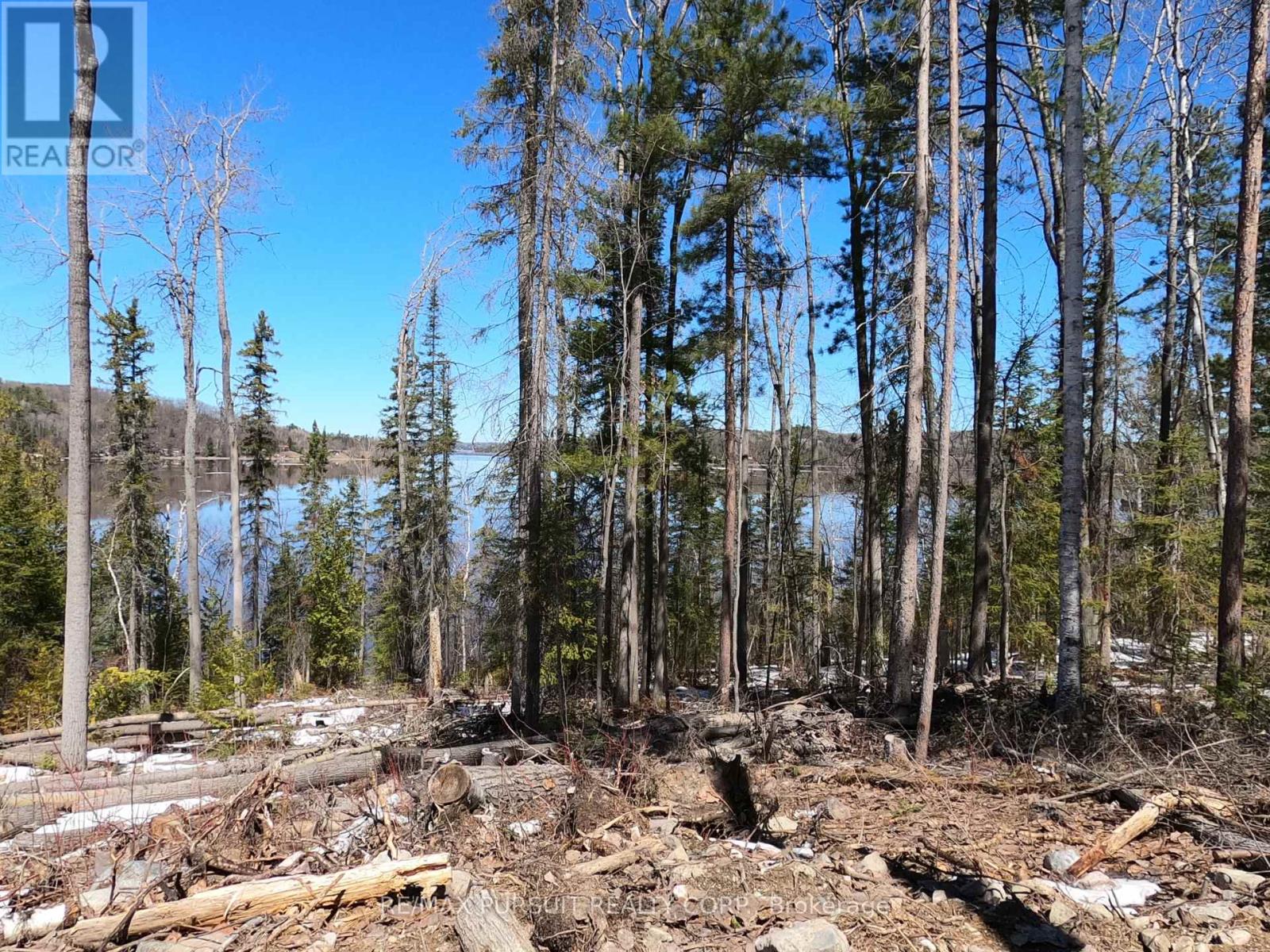 54-C-247082 Part Of Pin 61390-0273, Timiskaming, Ontario  P0J 1R0 - Photo 40 - T12936568