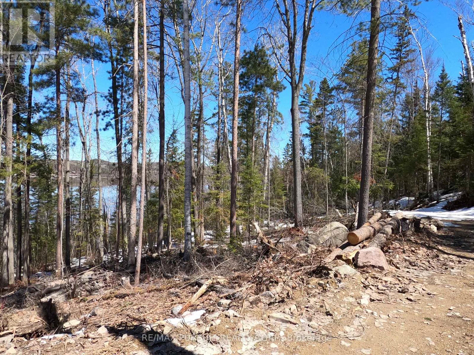 54-C-247082 Part Of Pin 61390-0273, Timiskaming, Ontario  P0J 1R0 - Photo 41 - T12936568
