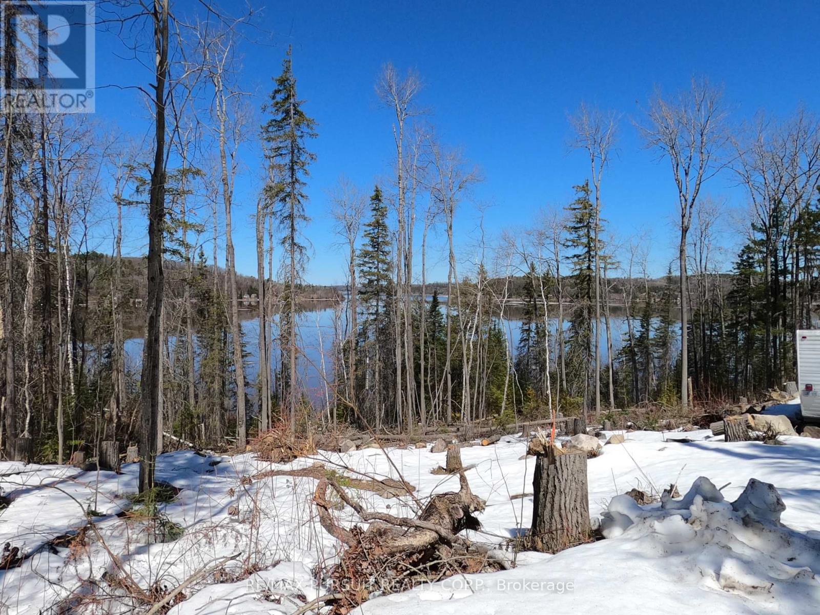 54-C-247082 Part Of Pin 61390-0273, Timiskaming, Ontario  P0J 1R0 - Photo 44 - T12936568