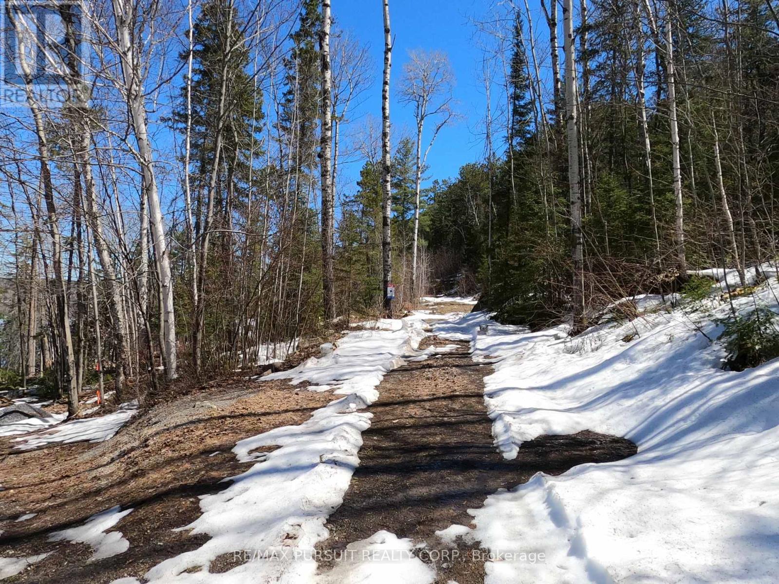 54-C-247082 Part Of Pin 61390-0273, Timiskaming, Ontario  P0J 1R0 - Photo 46 - T12936568