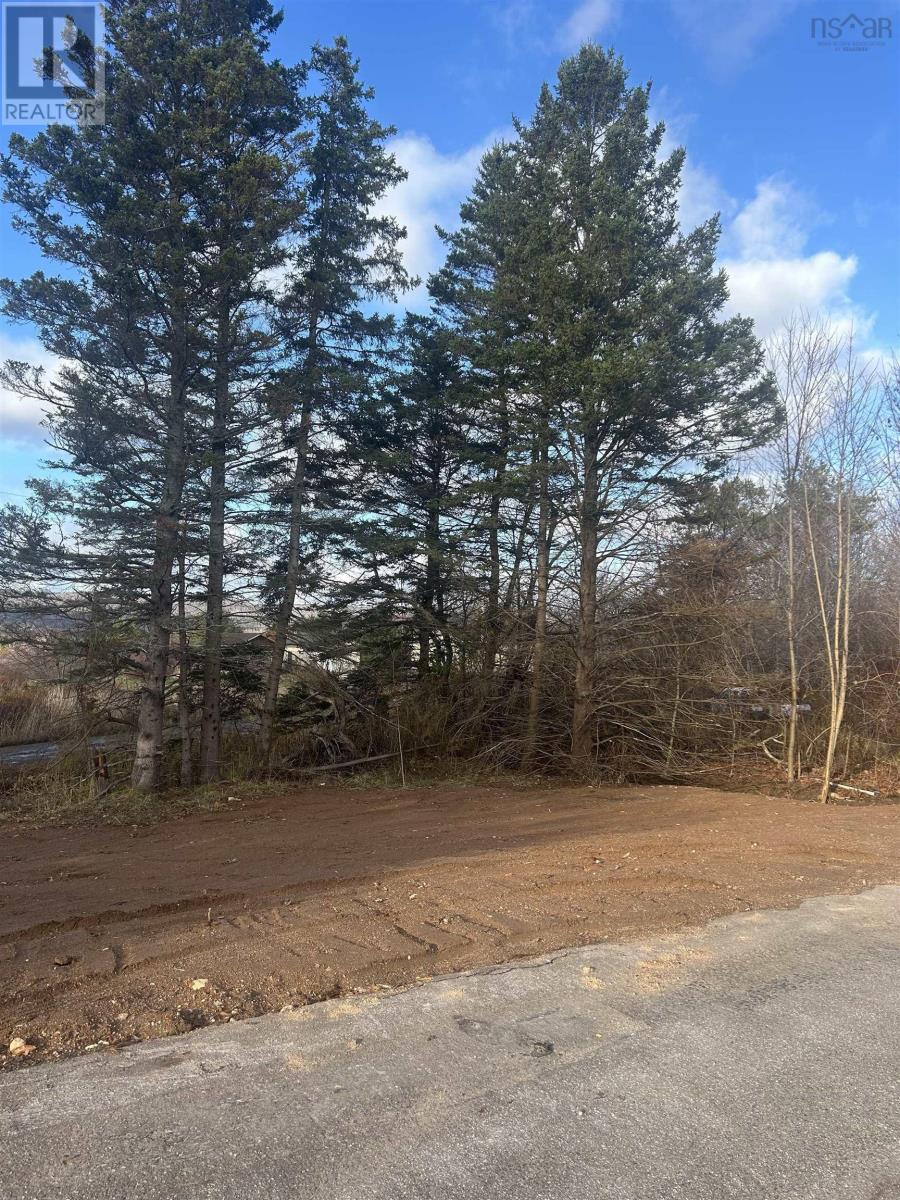 3581 Highway 201, Centrelea, Nova Scotia  B0S 1C0 - Photo 2 - 202527128