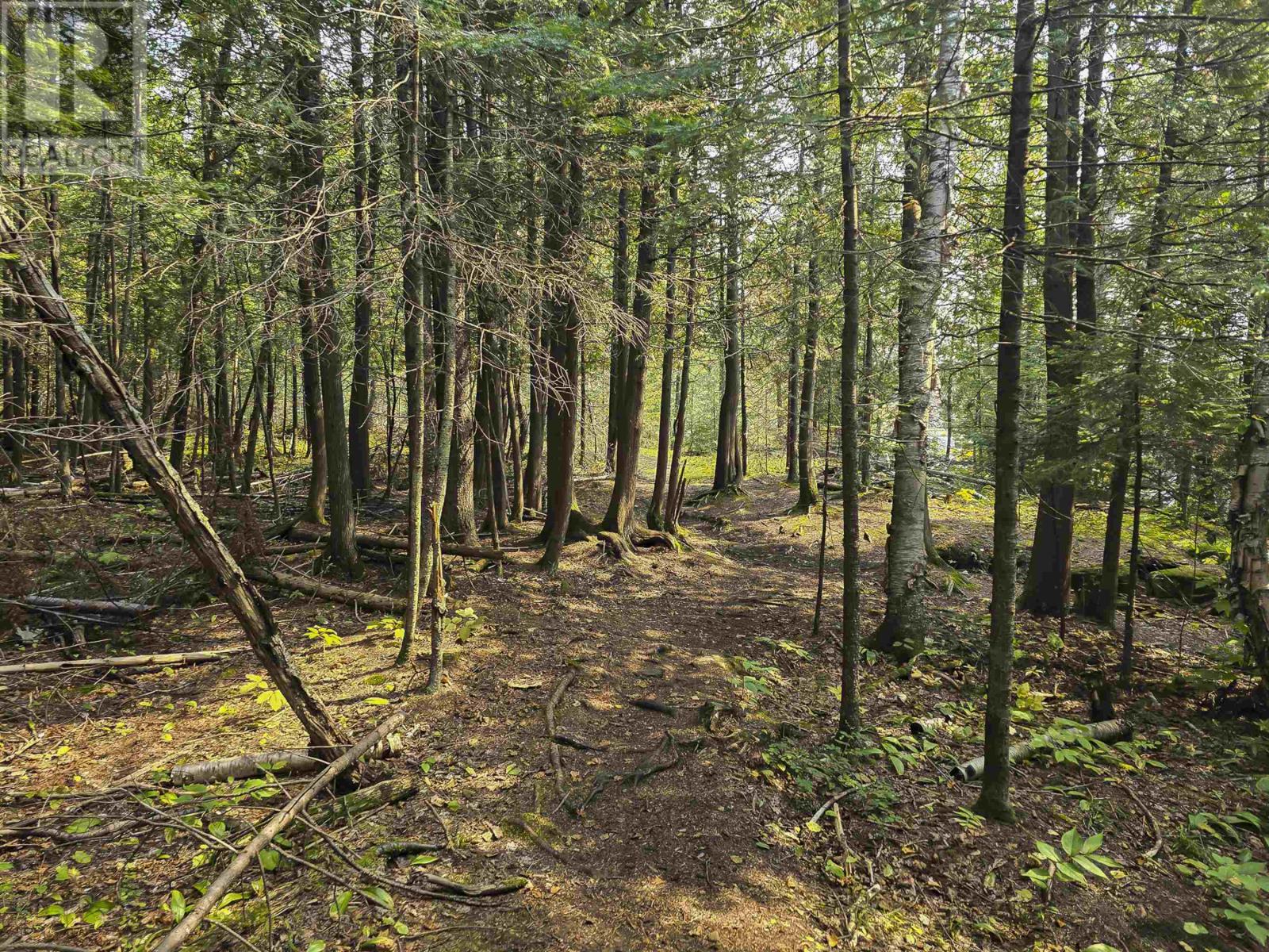 500 Toledo St, Thunder Bay, Ontario  P7A 8A6 - Photo 49 - TB2600808