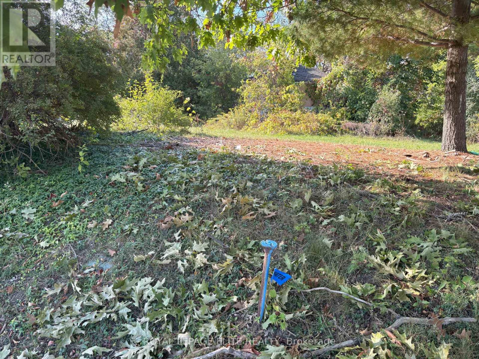 1631 Eglinton Avenue W, Mississauga, Ontario  L5M 7C1 - Photo 6 - W13049354