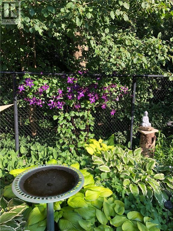 18 Webster Way, Georgetown, Ontario  L7G 5J7 - Photo 49 - 40815507