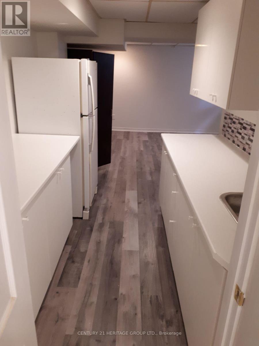 Basement - 95 Lucas Street, Richmond Hill (Mill Pond), Ontario  L4C 4P4 - Photo 3 - N13049444