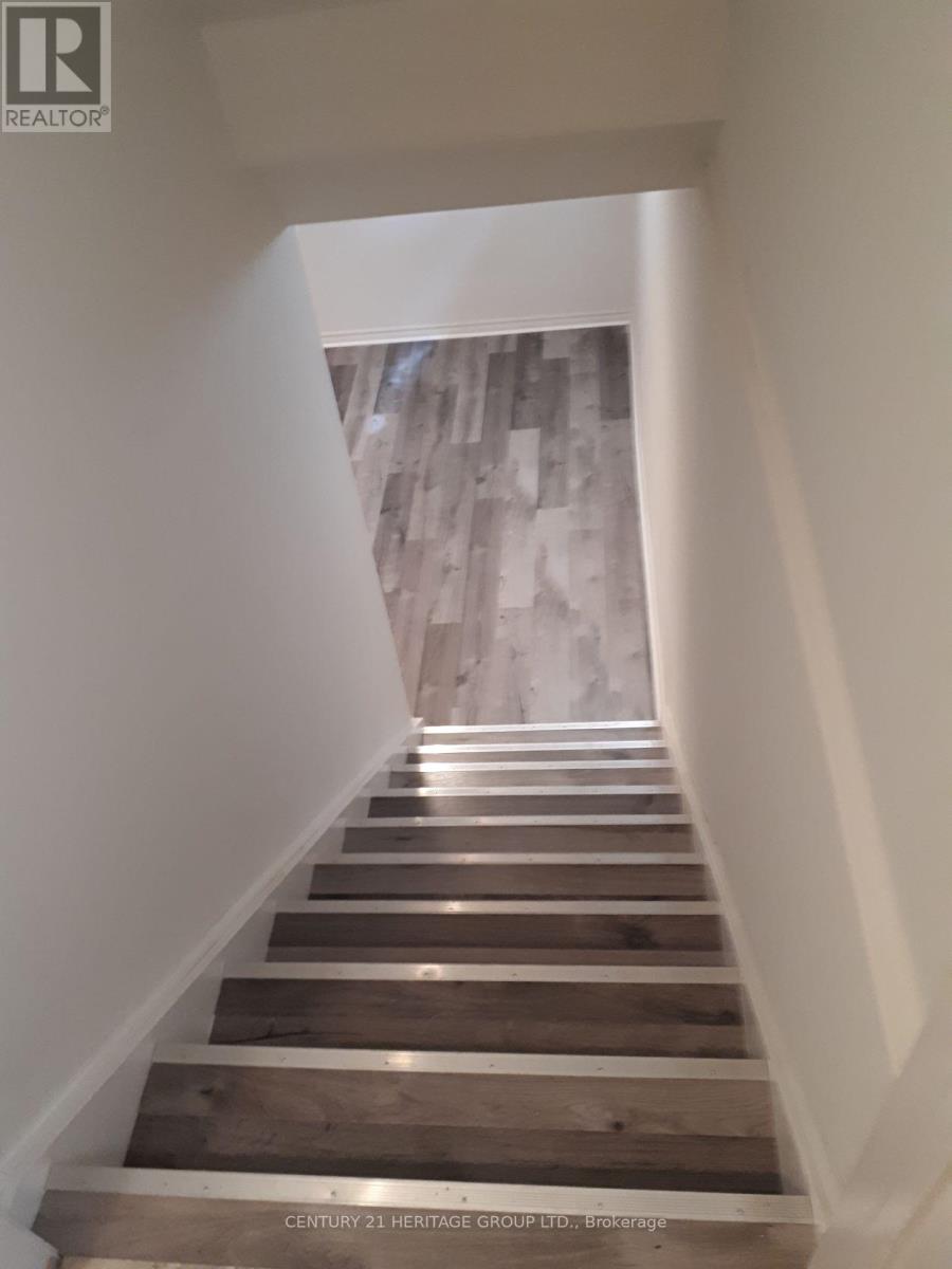 Basement - 95 Lucas Street, Richmond Hill (Mill Pond), Ontario  L4C 4P4 - Photo 7 - N13049444