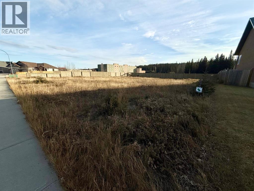 208 Trestle Place, Hinton, Alberta  T7V 0B8 - Photo 3 - A2270342