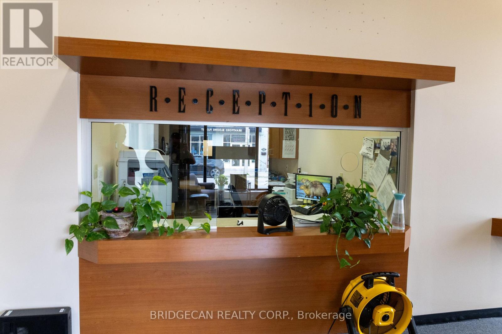 347 Colborne Street, Brantford, Ontario  N3S 3N2 - Photo 9 - X13049504