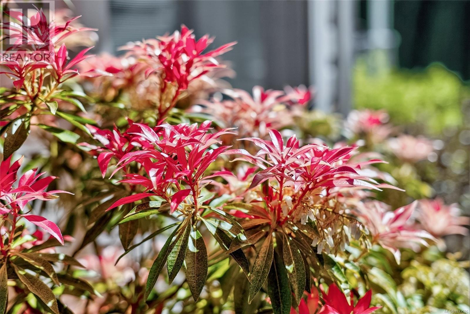 103 1391 Price Rd, Errington, British Columbia  V9P 2W1 - Photo 25 - 1033526