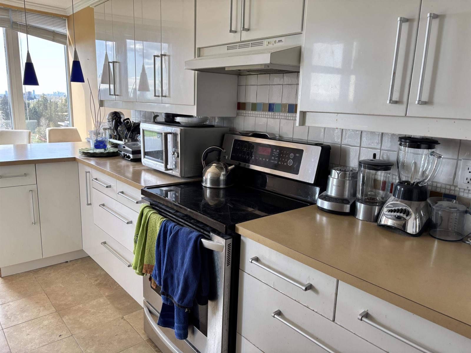 1904 14820 104 Avenue, Surrey, British Columbia  V3R 0V9 - Photo 29 - R3116219