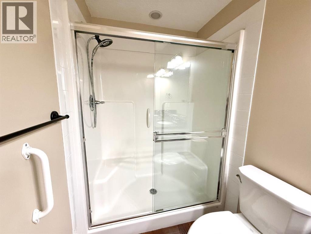 501 Sunvale Crescent NE, High River, Alberta  T1V 0E8 - Photo 19 - A2303703