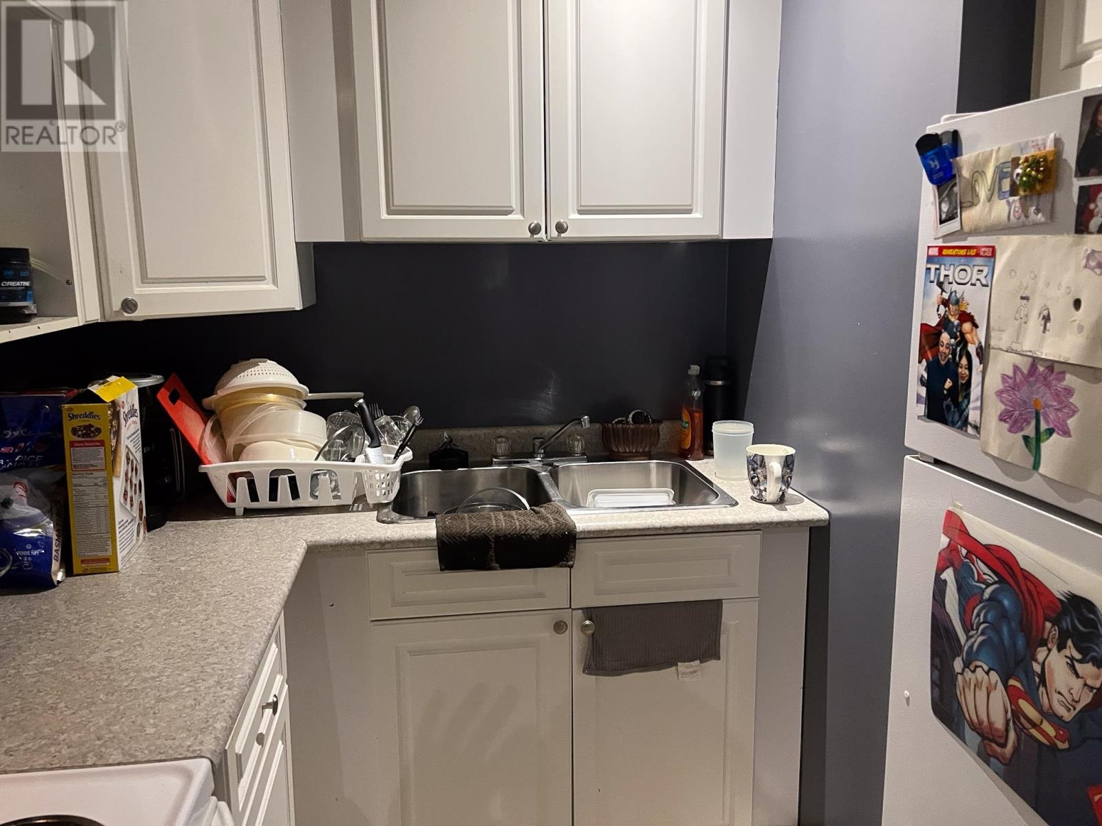 424 Third St S, Kenora, Ontario  P9N 1J1 - Photo 8 - TB2600081