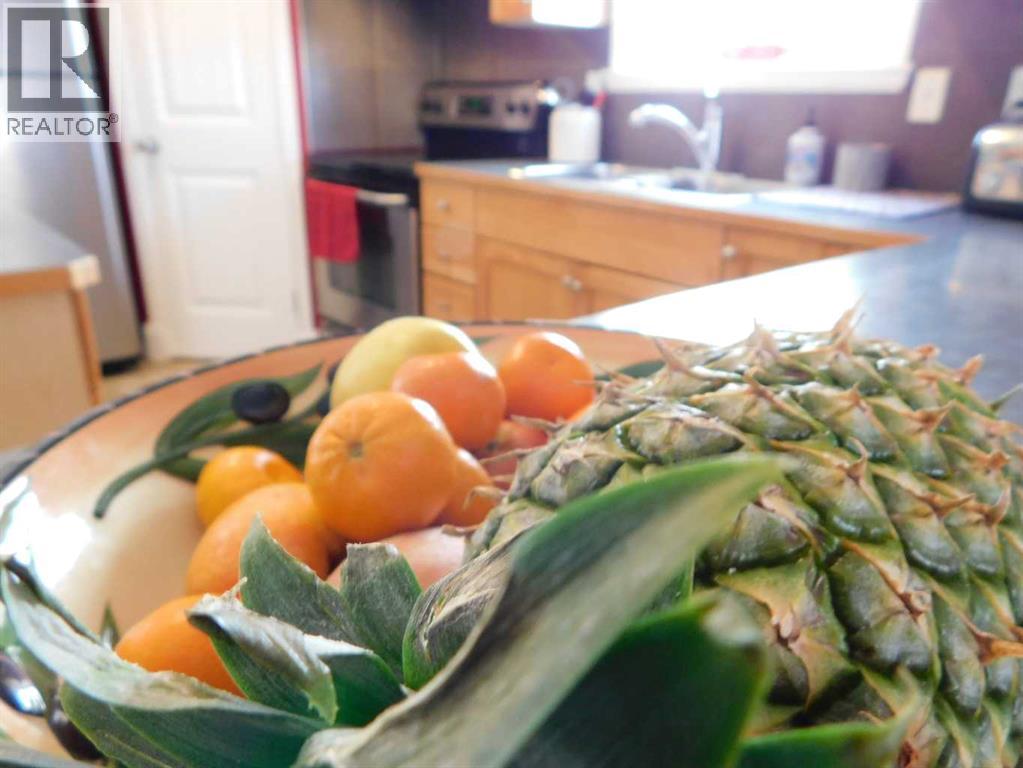 136 Meadowbrook Drive E, Brooks, Alberta  T1R 1N8 - Photo 21 - A2305582