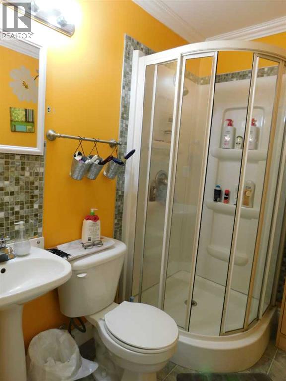 136 Meadowbrook Drive E, Brooks, Alberta  T1R 1N8 - Photo 37 - A2305582