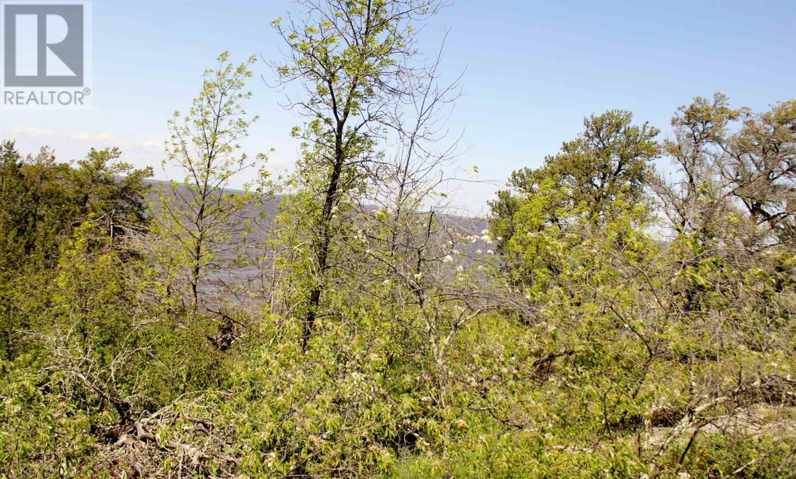 499 Aksel Rd, Rainy River, Ontario  P0W 1L0 - Photo 24 - TB2600815