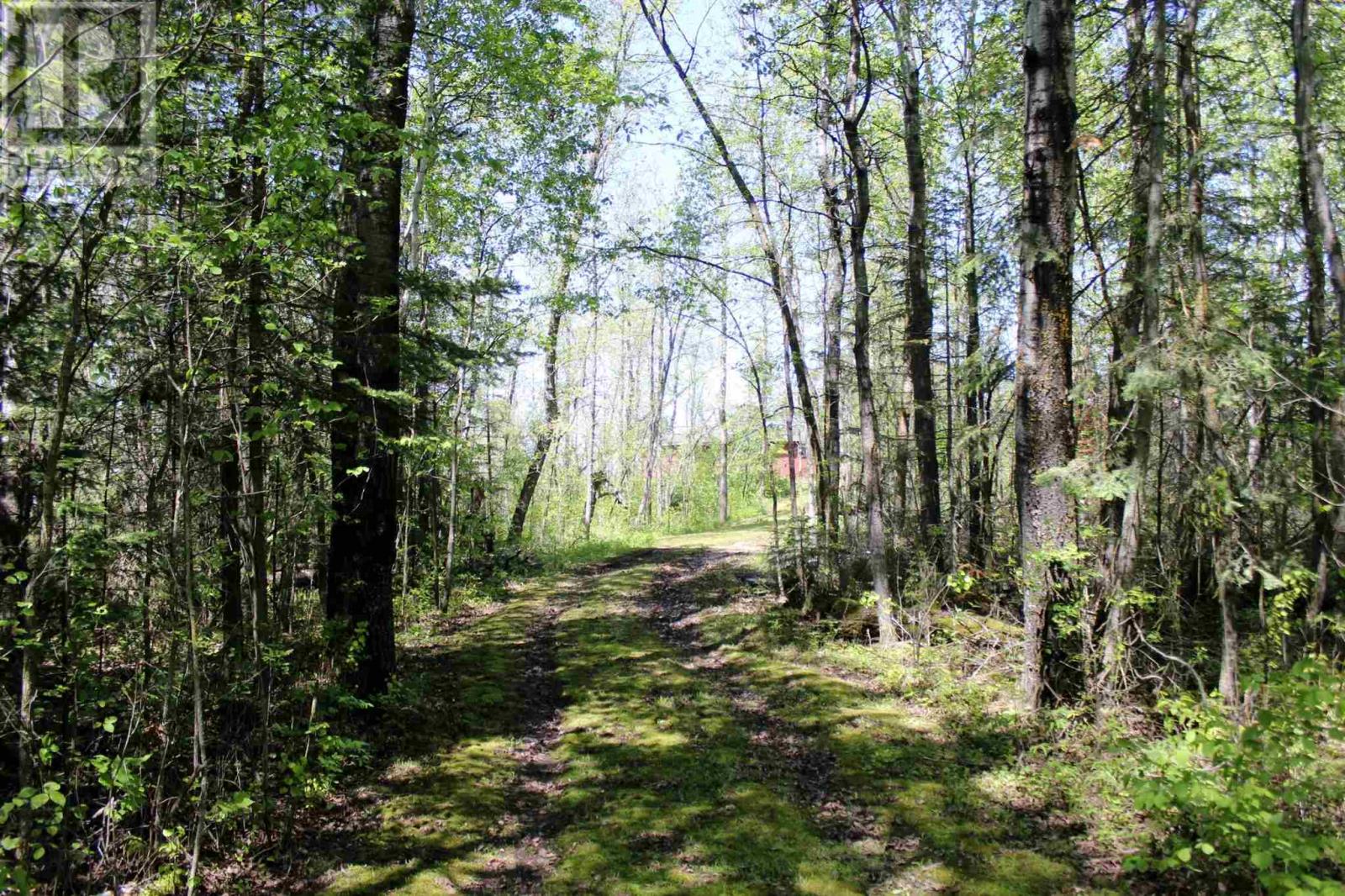 499 Aksel Rd, Rainy River, Ontario  P0W 1L0 - Photo 26 - TB2600815