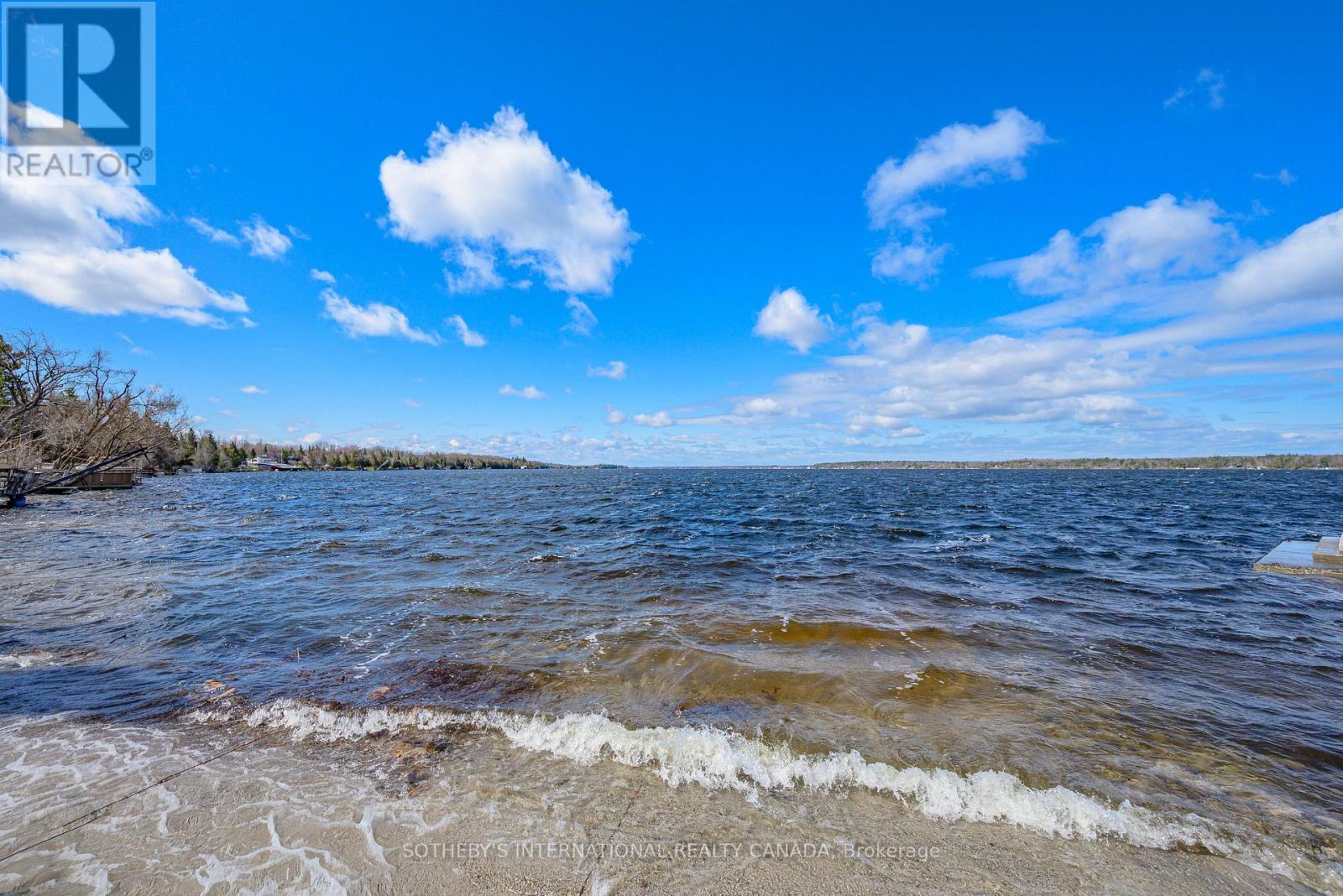 42 Pavillion Road, Kawartha Lakes, Ontario  K0M 1L0 - Photo 48 - X13049846