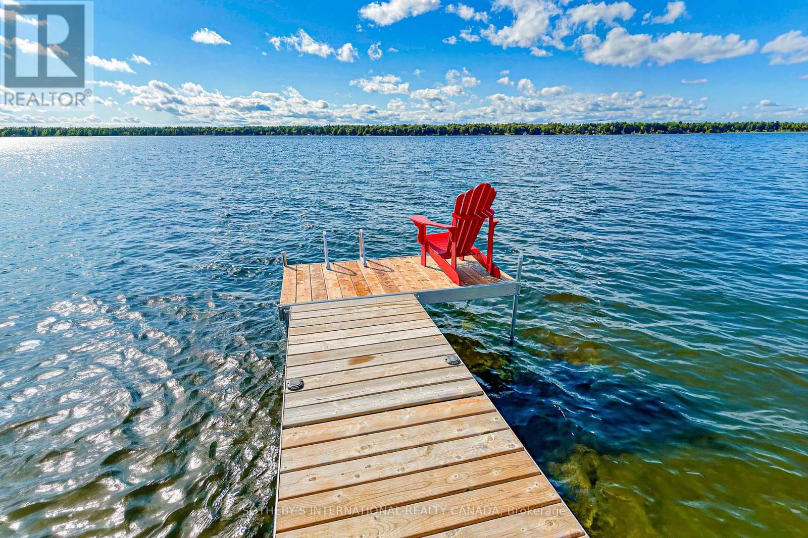 42 Pavillion Road, Kawartha Lakes, Ontario  K0M 1L0 - Photo 6 - X13049846