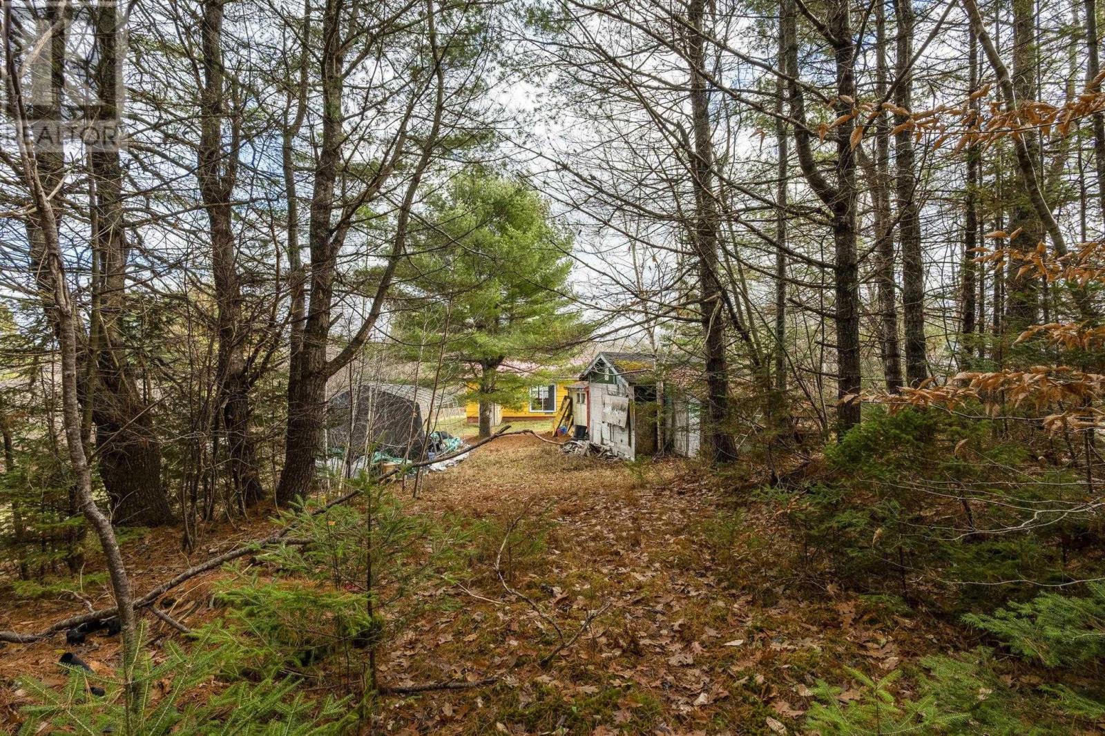 741 Westfield Road, Westfield, Nova Scotia  B0T 1B0 - Photo 26 - 202528497