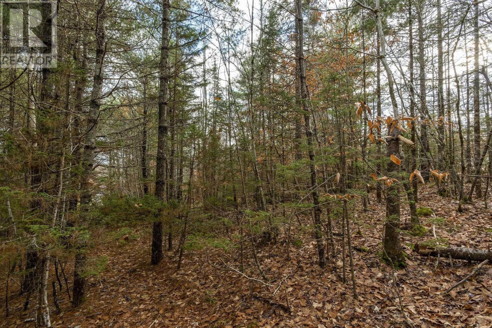 741 Westfield Road, Westfield, Nova Scotia  B0T 1B0 - Photo 27 - 202528497