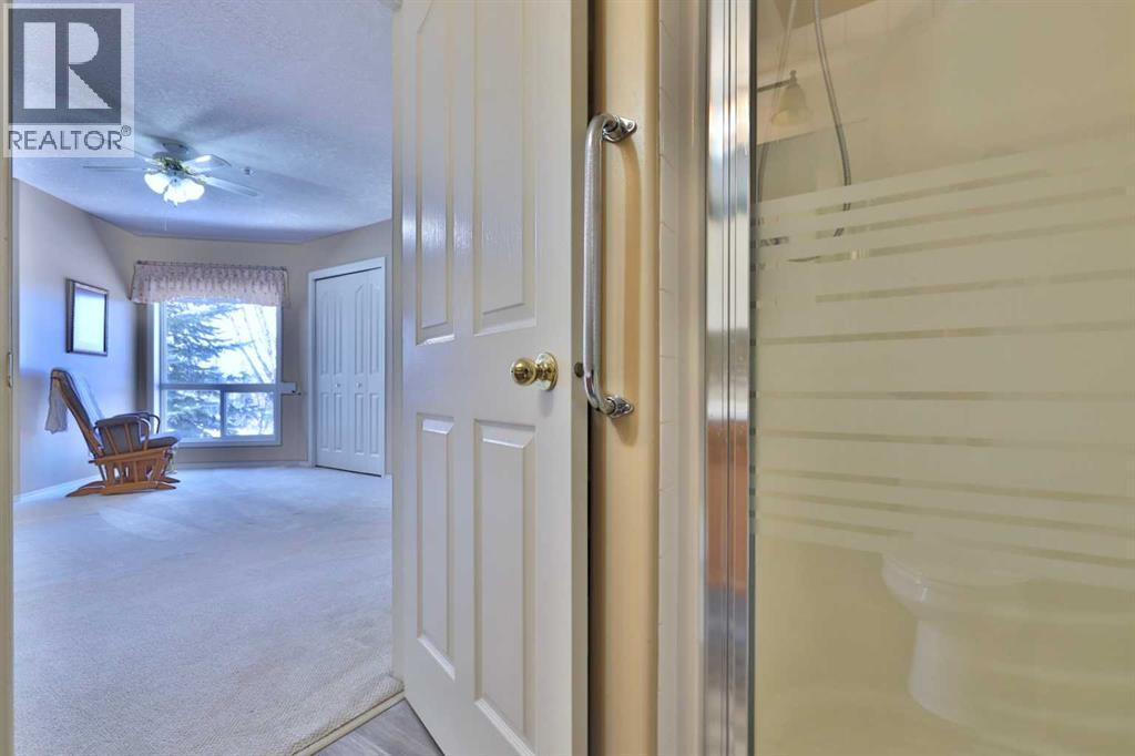 205, 4625 50 Street, Camrose, Alberta  T4V 4R2 - Photo 29 - A2297678