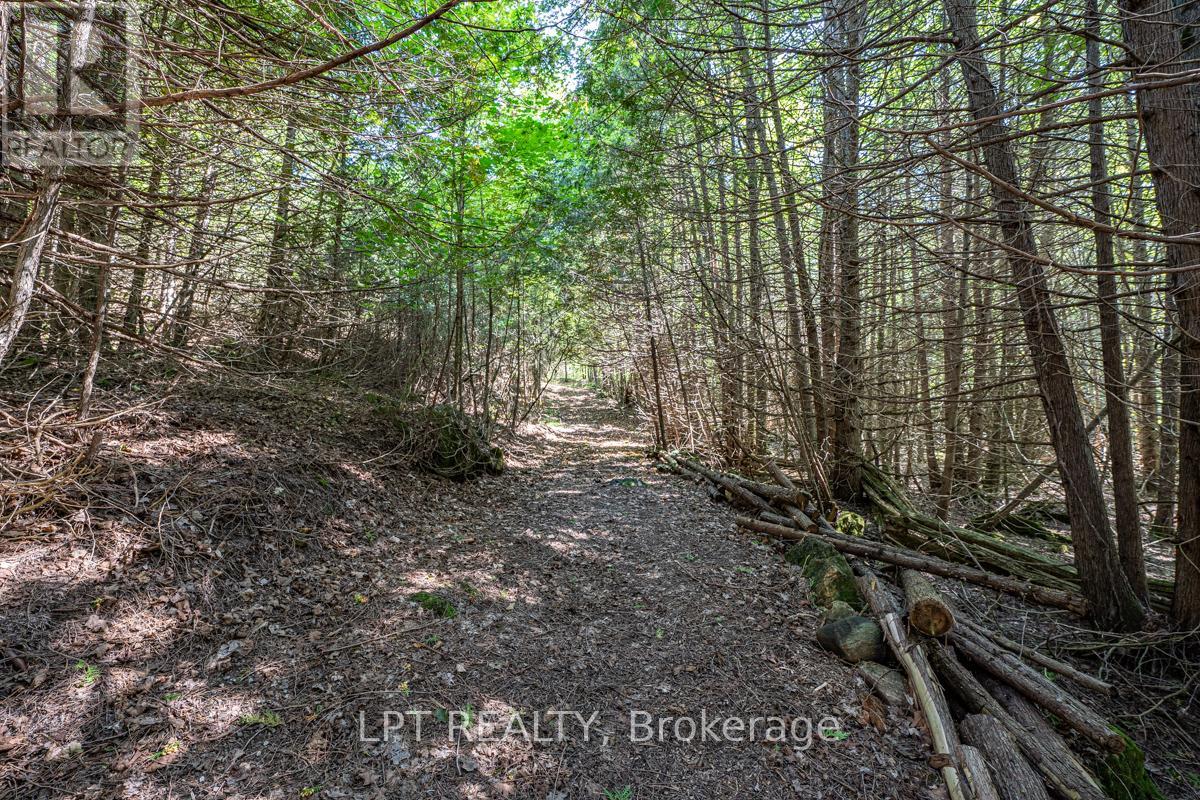 192 Gulf Road, Marmora And Lake, Ontario  K0K 2M0 - Photo 33 - X13050000