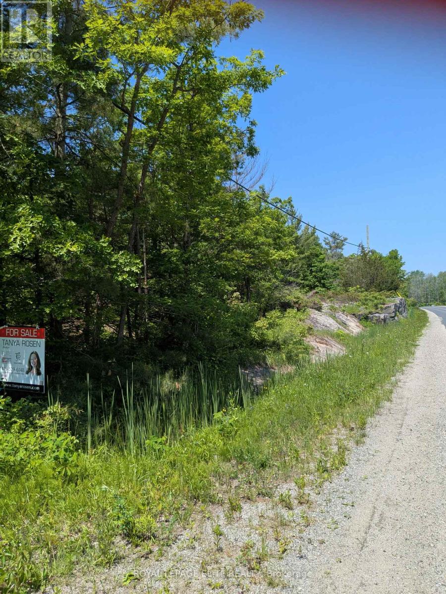 559 Honey Harbour Road, Georgian Bay, Ontario  L0K 1S0 - Photo 3 - X13050030