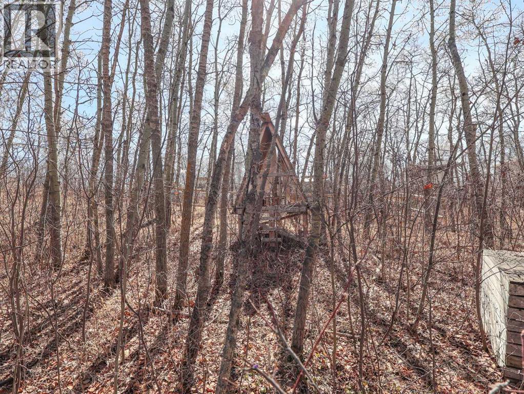 4 Aspen Crescent, Rural Stettler No. 6, Alberta  T0C 2L0 - Photo 24 - A2304564