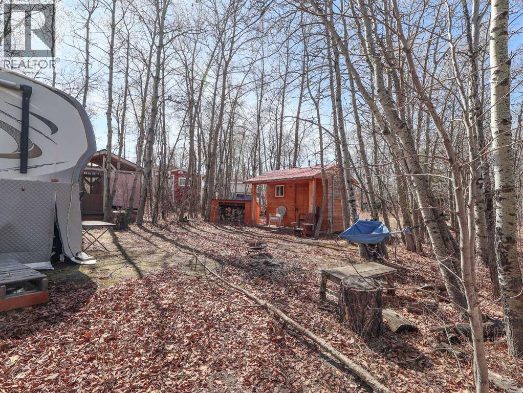 4 Aspen Crescent, Rural Stettler No. 6, Alberta  T0C 2L0 - Photo 22 - A2304564