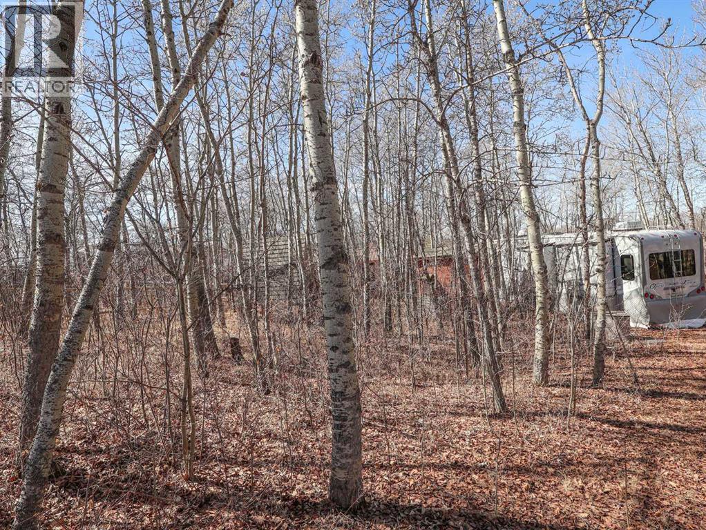 4 Aspen Crescent, Rural Stettler No. 6, Alberta  T0C 2L0 - Photo 23 - A2304564