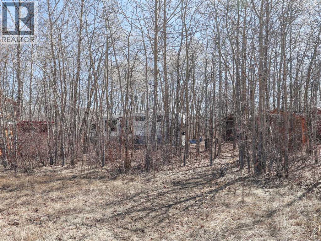 4 Aspen Crescent, Rural Stettler No. 6, Alberta  T0C 2L0 - Photo 20 - A2304564