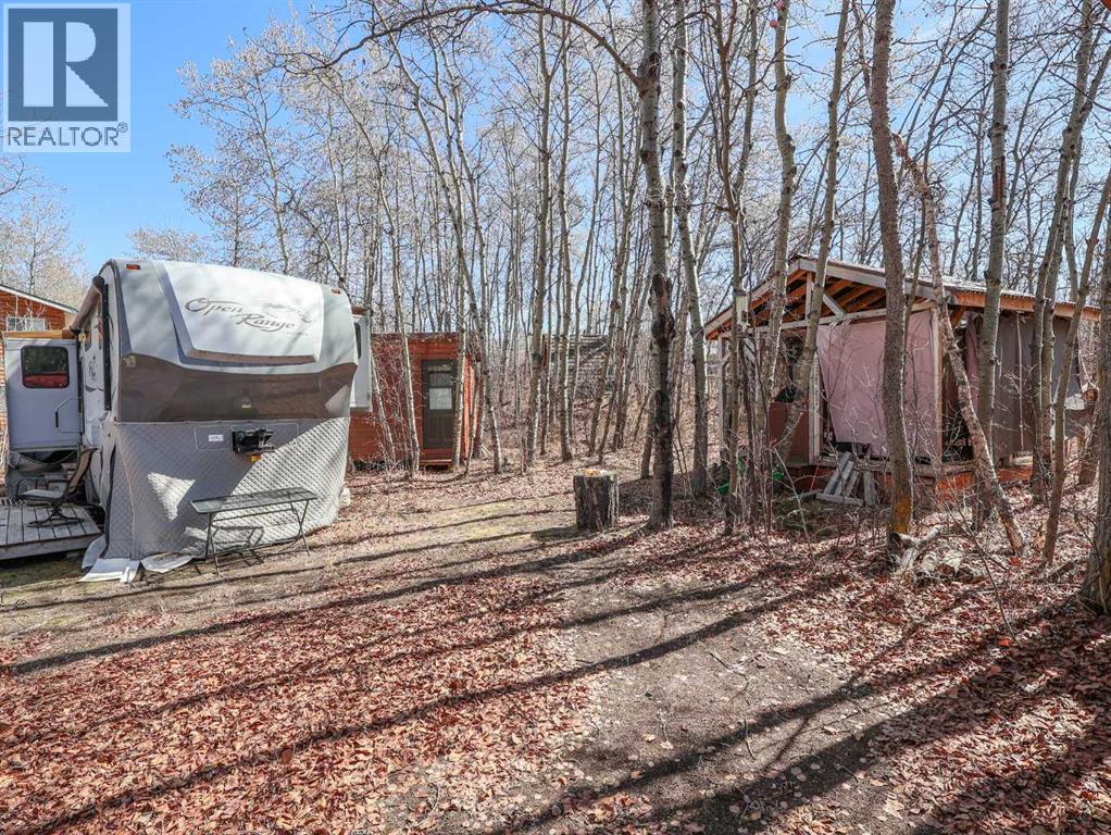 4 Aspen Crescent, Rural Stettler No. 6, Alberta  T0C 2L0 - Photo 17 - A2304564