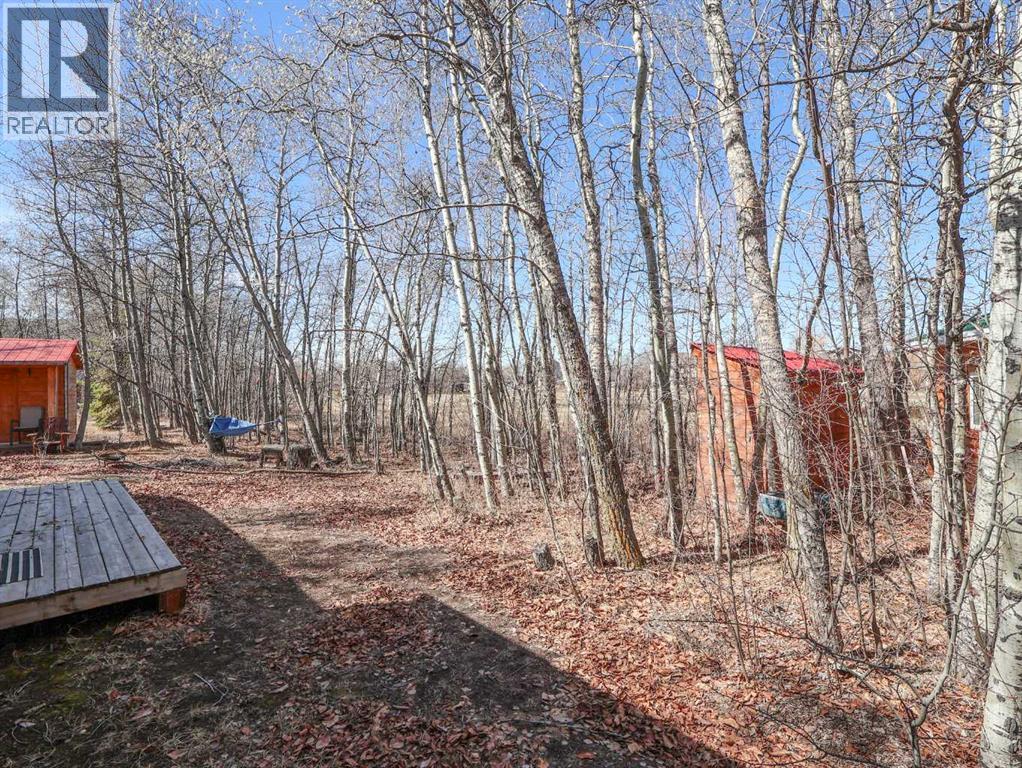 4 Aspen Crescent, Rural Stettler No. 6, Alberta  T0C 2L0 - Photo 10 - A2304564