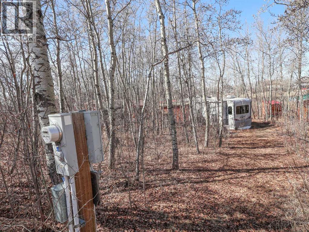 4 Aspen Crescent, Rural Stettler No. 6, Alberta  T0C 2L0 - Photo 8 - A2304564