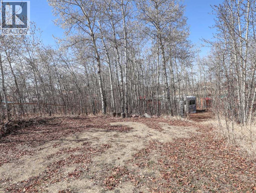 4 Aspen Crescent, Rural Stettler No. 6, Alberta  T0C 2L0 - Photo 7 - A2304564