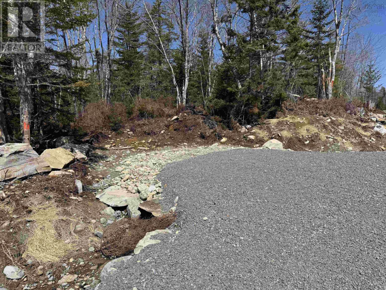 Lot 8 Highway 3, Summerville Heights, Summerville Centre, Nova Scotia  B0T 1T0 - Photo 3 - 202607792
