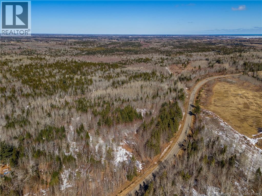 Lot 02-5 Renauds Mills Road, Saint-Antoine, New Brunswick  E4V 2X7 - Photo 25 - NB135747