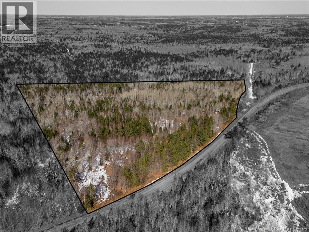 Lot 02-5 Renauds Mills Road, Saint-Antoine, New Brunswick  E4V 2X7 - Photo 16 - NB135747