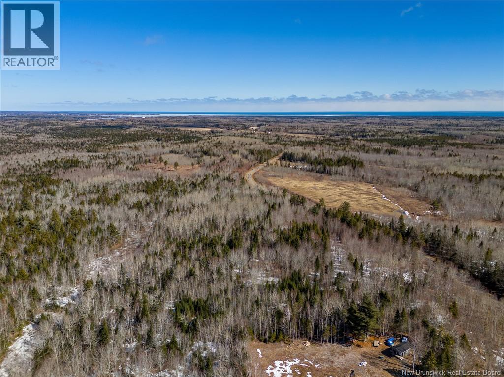 Lot 02-5 Renauds Mills Road, Saint-Antoine, New Brunswick  E4V 2X7 - Photo 24 - NB135747