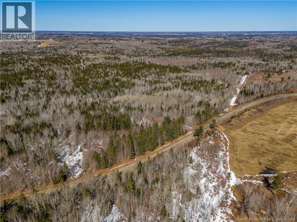 Lot 02-5 Renauds Mills Road, Saint-Antoine, New Brunswick  E4V 2X7 - Photo 22 - NB135747