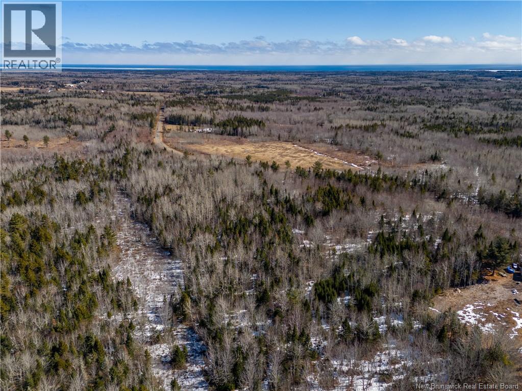 Lot 02-5 Renauds Mills Road, Saint-Antoine, New Brunswick  E4V 2X7 - Photo 10 - NB135747