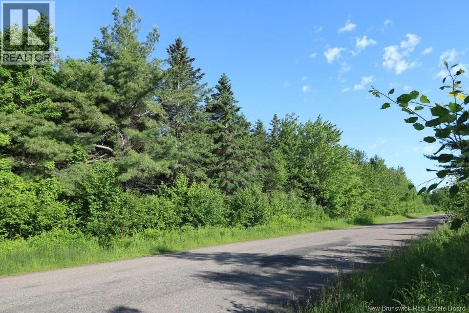 Lot 02-5 Renauds Mills Road, Saint-Antoine, New Brunswick  E4V 2X7 - Photo 32 - NB135747