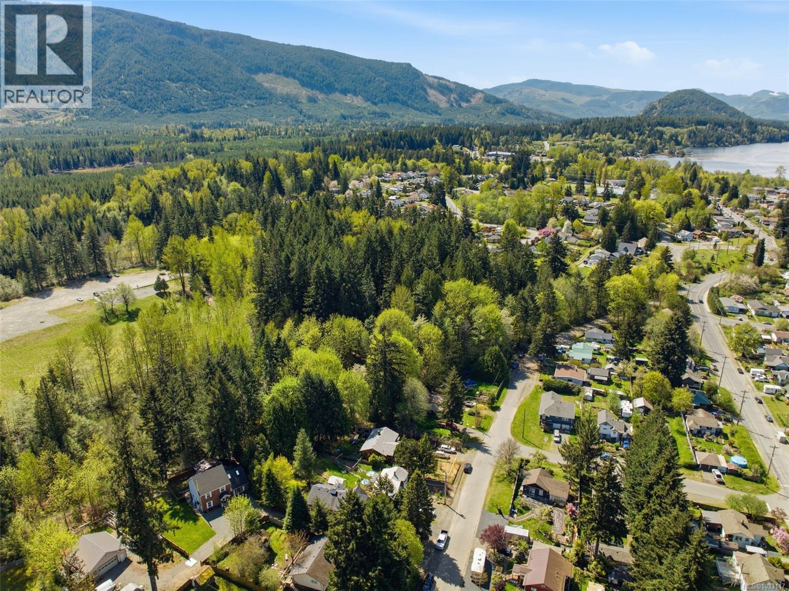 100 Comiaken Ave, Lake Cowichan, British Columbia  V0R 2G0 - Photo 41 - 1033117