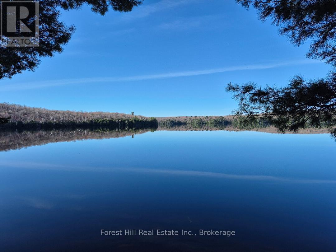 2193a Fern Glen Road S, Mcmurrich/monteith, Ontario  P0A 1Y0 - Photo 1 - X12898436